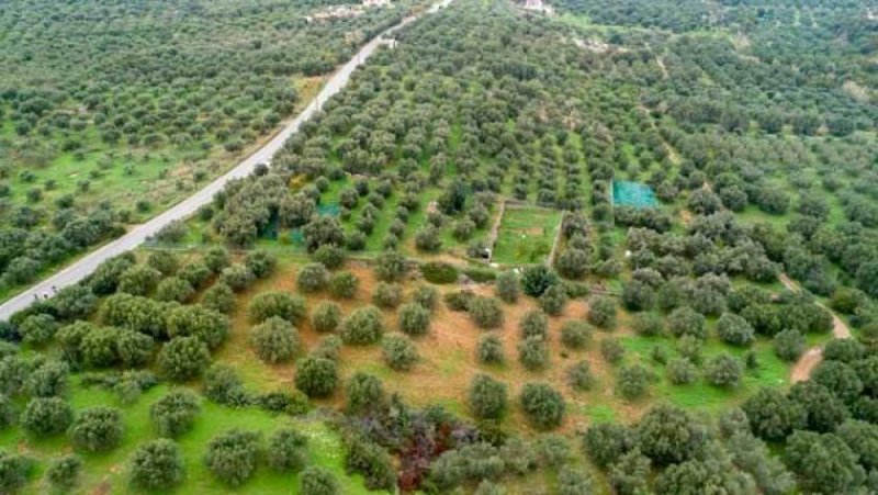 Sisi Kreta, Sisi: Baugrundstück etwas außerhalb des Dorfes zu verkaufen Grundstück kaufen